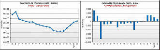 Créditos: Divulgação/BC Créditos: Divulgação/BC