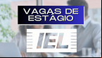 1.000 vagas de estágio abertas em diversos estados no Instituto IEL