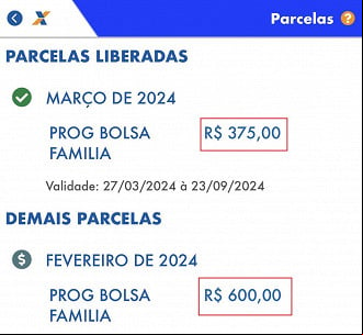 Bolsa Família baixou para metade do valor em 2024