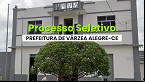 Processo Seletivo Prefeitura de Várzea Alegre-CE 2025 abre 48 vagas