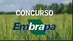 Concurso Embrapa 2025: Resultado das provas tem nova data; veja o cronograma