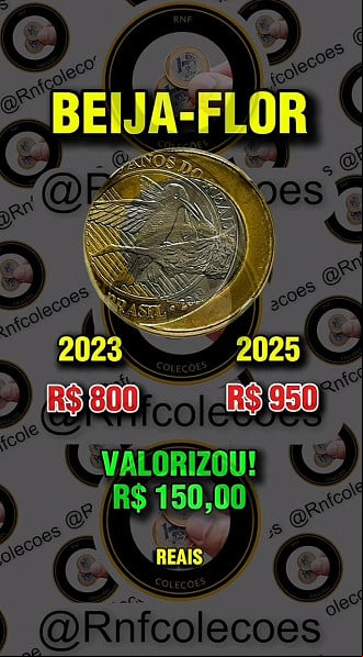 Créditos: Divulgação/RNF Coleções